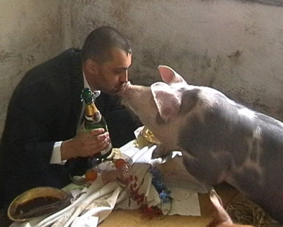 year of the pig